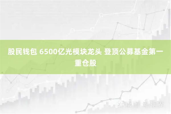 股民钱包 6500亿光模块龙头 登顶公募基金第一重仓股